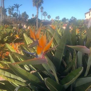 Meet your Posher, Colleen